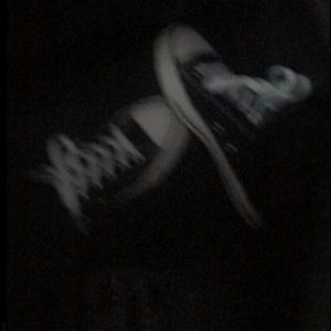 Meet your Posher, Max